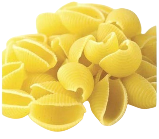 Fideo concha mediana
