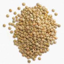Lenteja