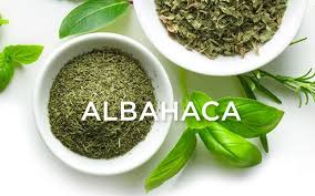 Albahaca