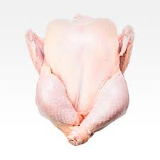 Pollo
