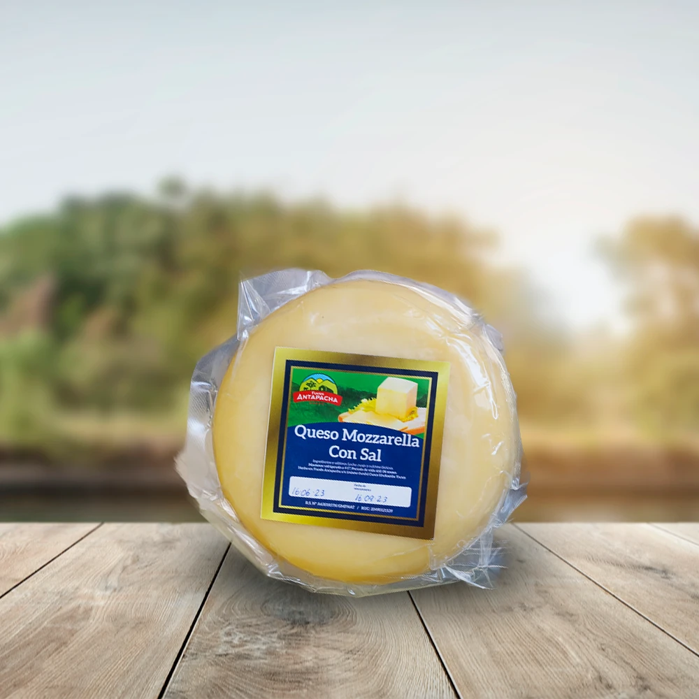 Queso Mozarella tuti
